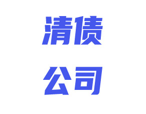 上海清债公司亿虎-专业服务