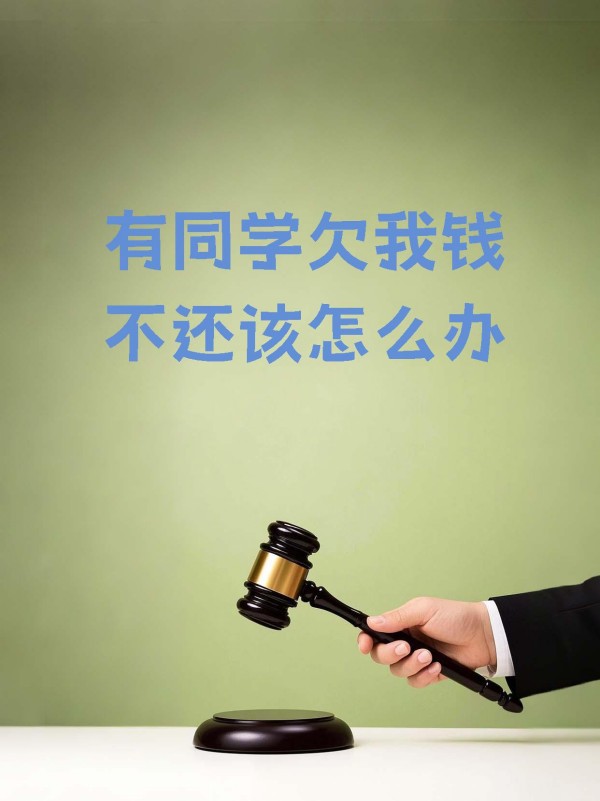 律师教你如何有效追债，避免财务损失的关键技巧